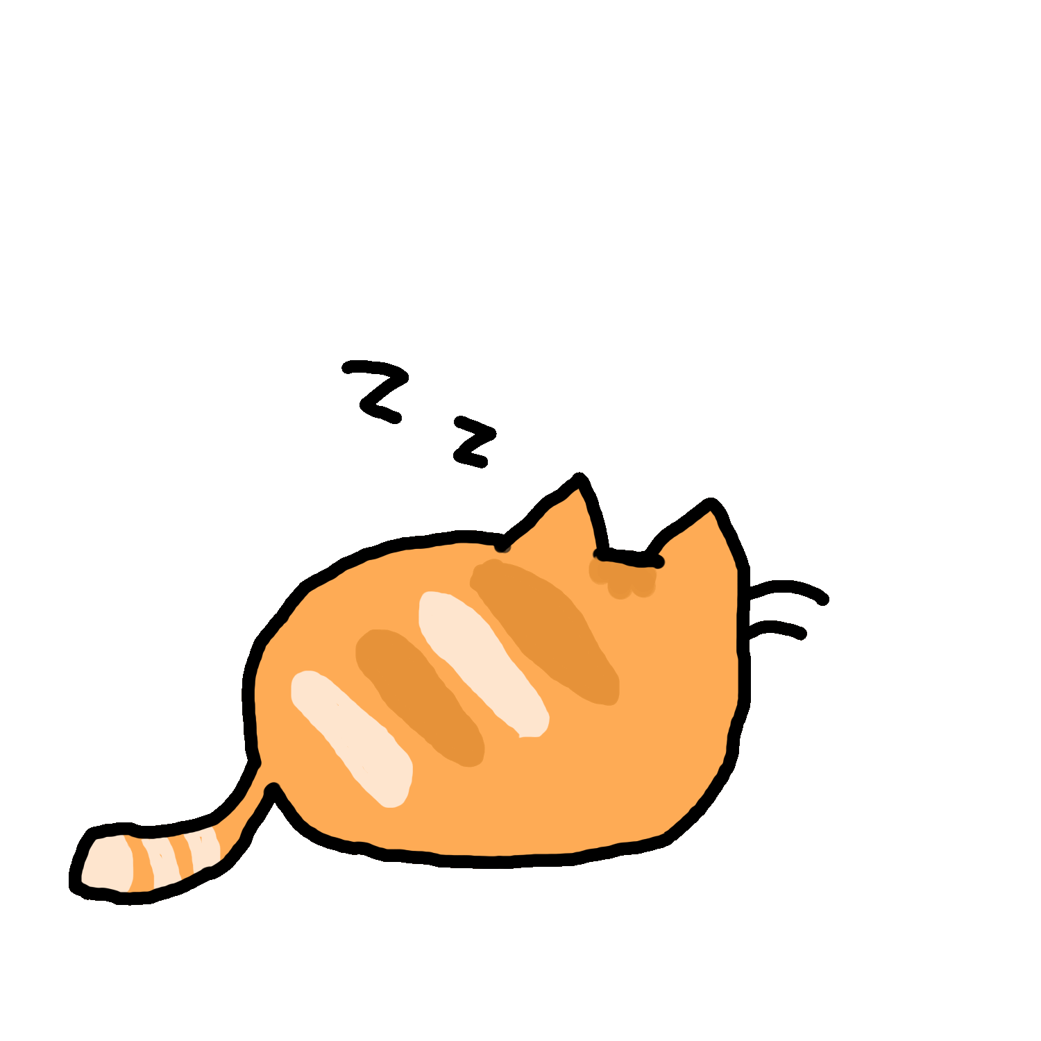 sleeping cat